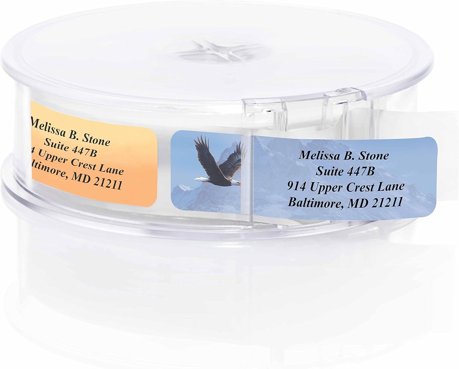 in The Wild Assorted Designer Name & Address Labels with Elegant Plastic Dispenser - Lumora Desk