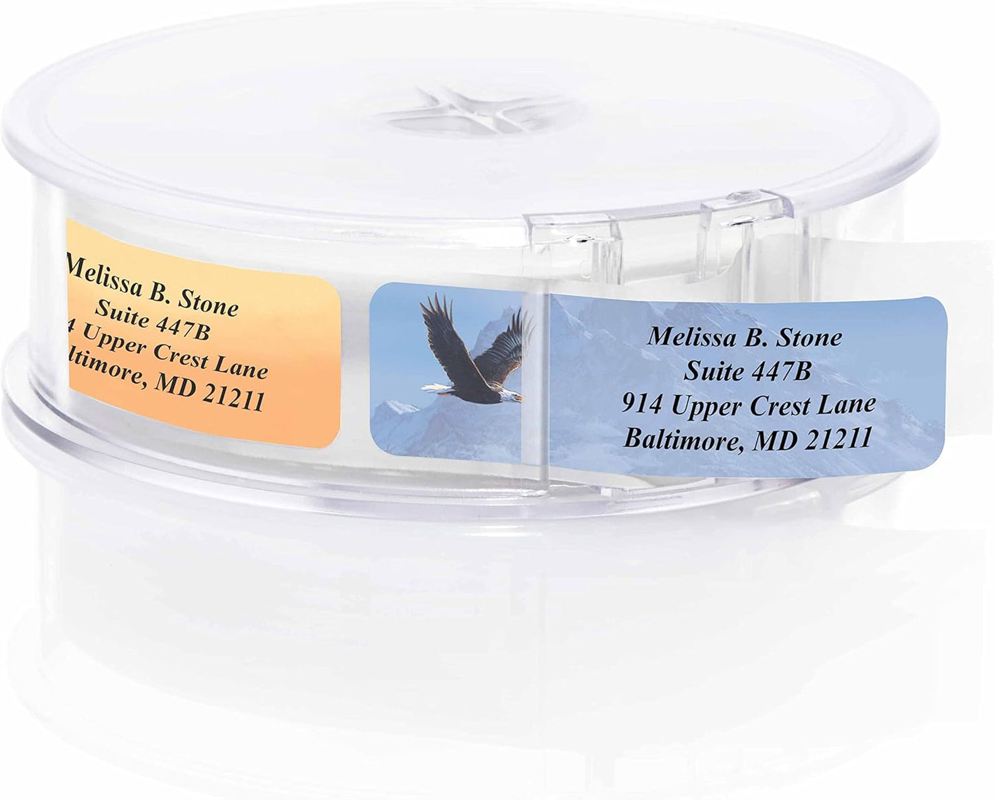 in The Wild Assorted Designer Name & Address Labels with Elegant Plastic Dispenser - Lumora Desk