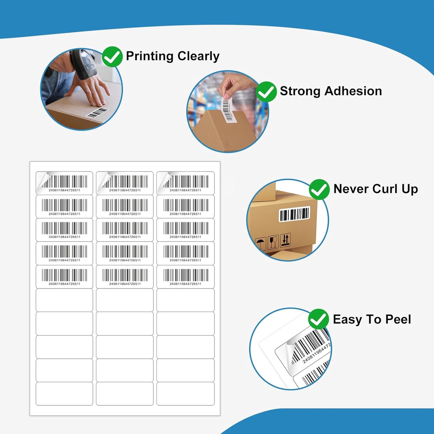 1" x 2-5/8" White Blank Address Labels, 3000 Labels (100 Sheets), Laser/Inkjet Compatible