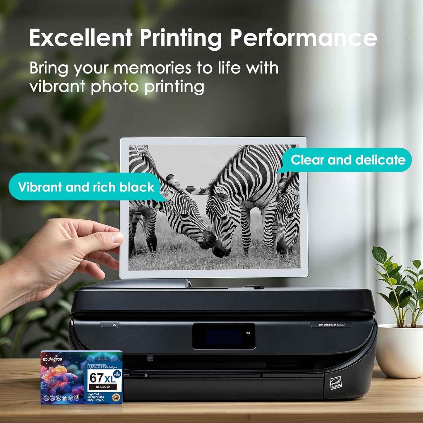 EcoVictor 67XL Black Ink Cartridge Replacement for HP Ink 67 XL HP 67 Ink Cartridges Black for DeskJet 2755e 2700 2700e 4155e 2752 2755 4100 4255e 2855e 2842e Envy 6055e 6000 6455e 6400 6400e Printer