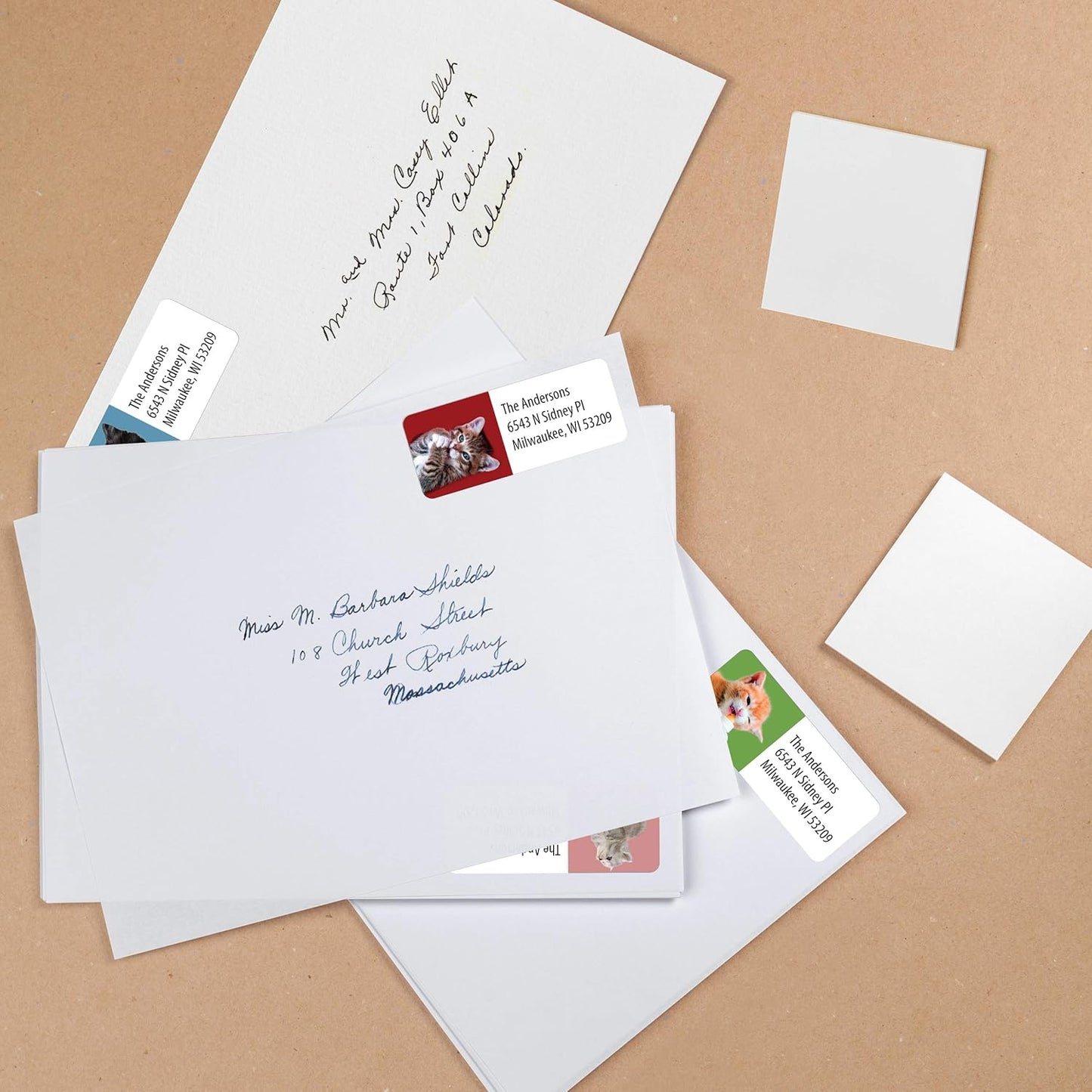 Customized Personalized Address Labels - Made in The USA by Kenco (500 Labels, Kittens) - Lumora Desk
