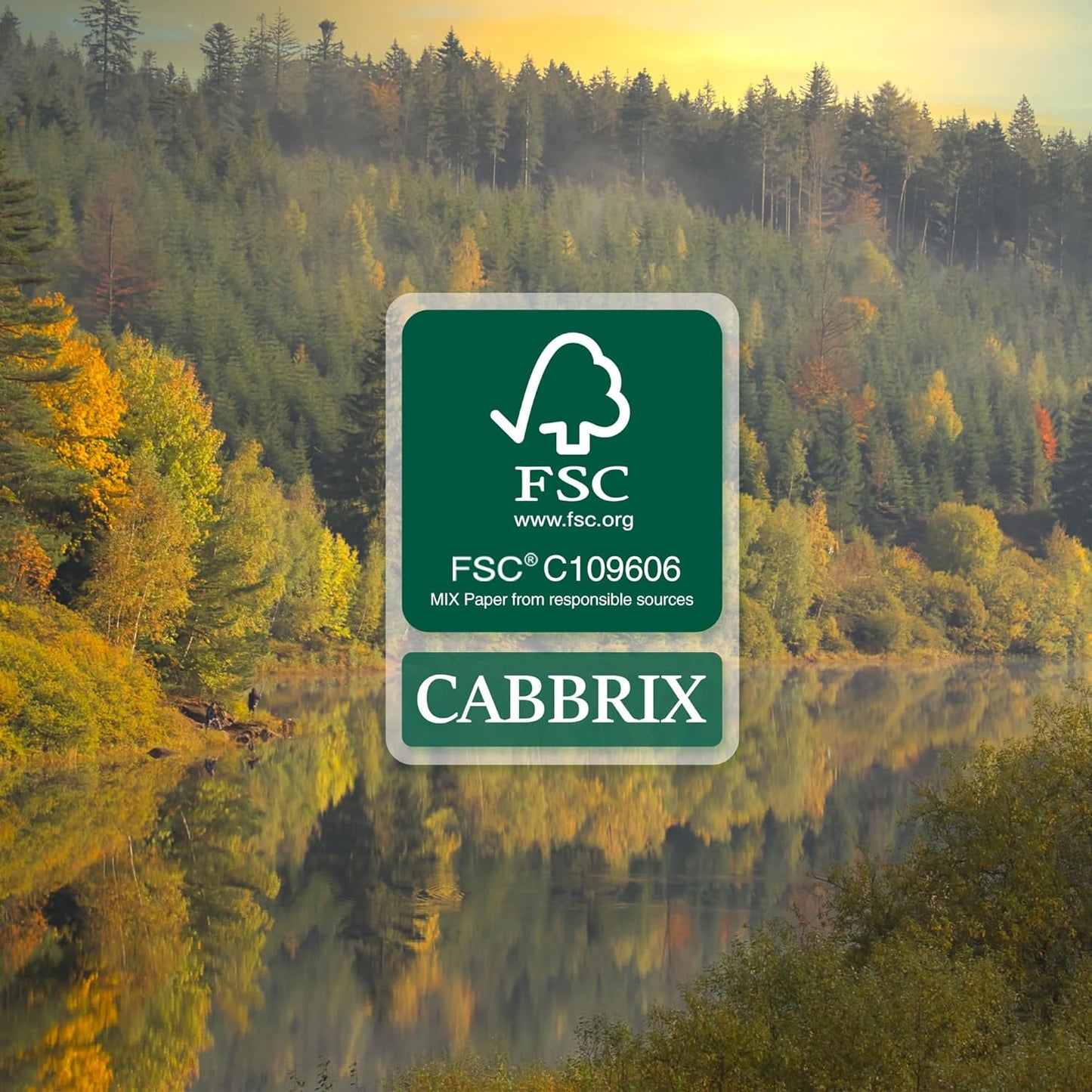 Cabbrix Desk Calendar 2025-2026 with Desktop Mat, Floral Desk Pad Calendar 15 x 12 Inch Runs From July 2025 to December 2026, Desk Blotter Calendar for Home School and Office (Floral)