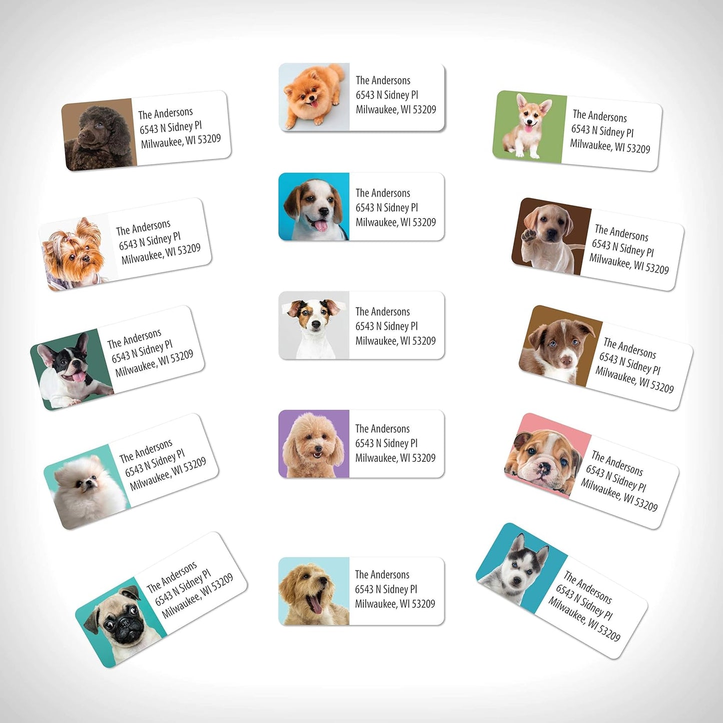 Customized Personalized Address Labels - Made in The USA by Kenco (250 Labels, Puppies) - Lumora Desk
