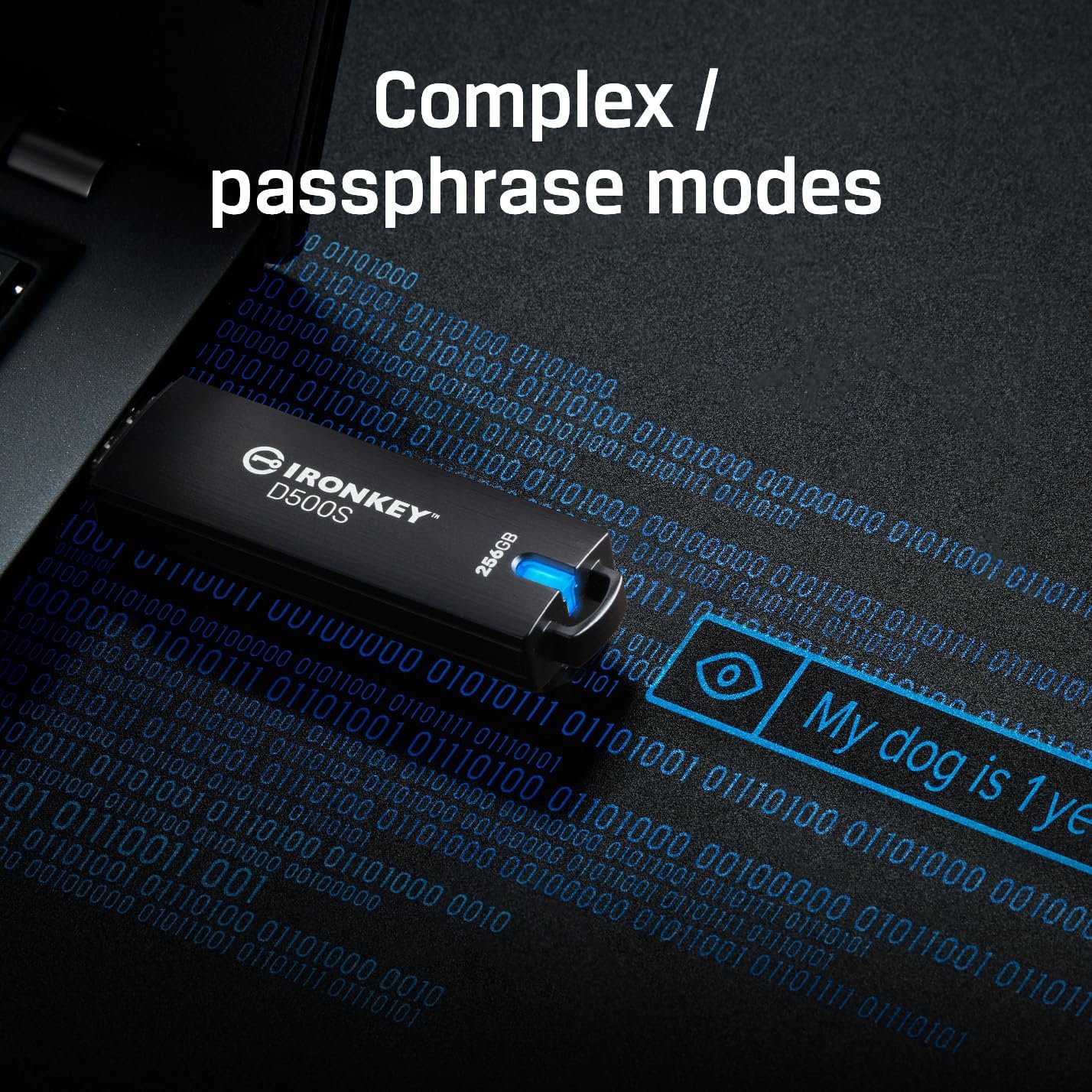 Kingston Ironkey D500S 32GB Encrypted Flash Drive | Dual Hidden Partition | FIPS 140-3 Level 3 | XTS-AES 256-bit | BadUSB and Brute Force Protection | Multi-Pin Option | IKD500S/32GB