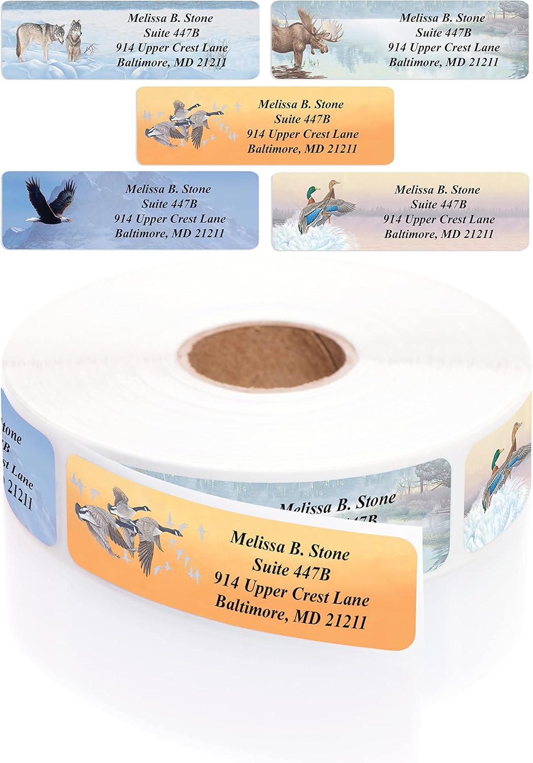 in The Wild Assorted Designer Name & Address Labels with Elegant Plastic Dispenser - Lumora Desk