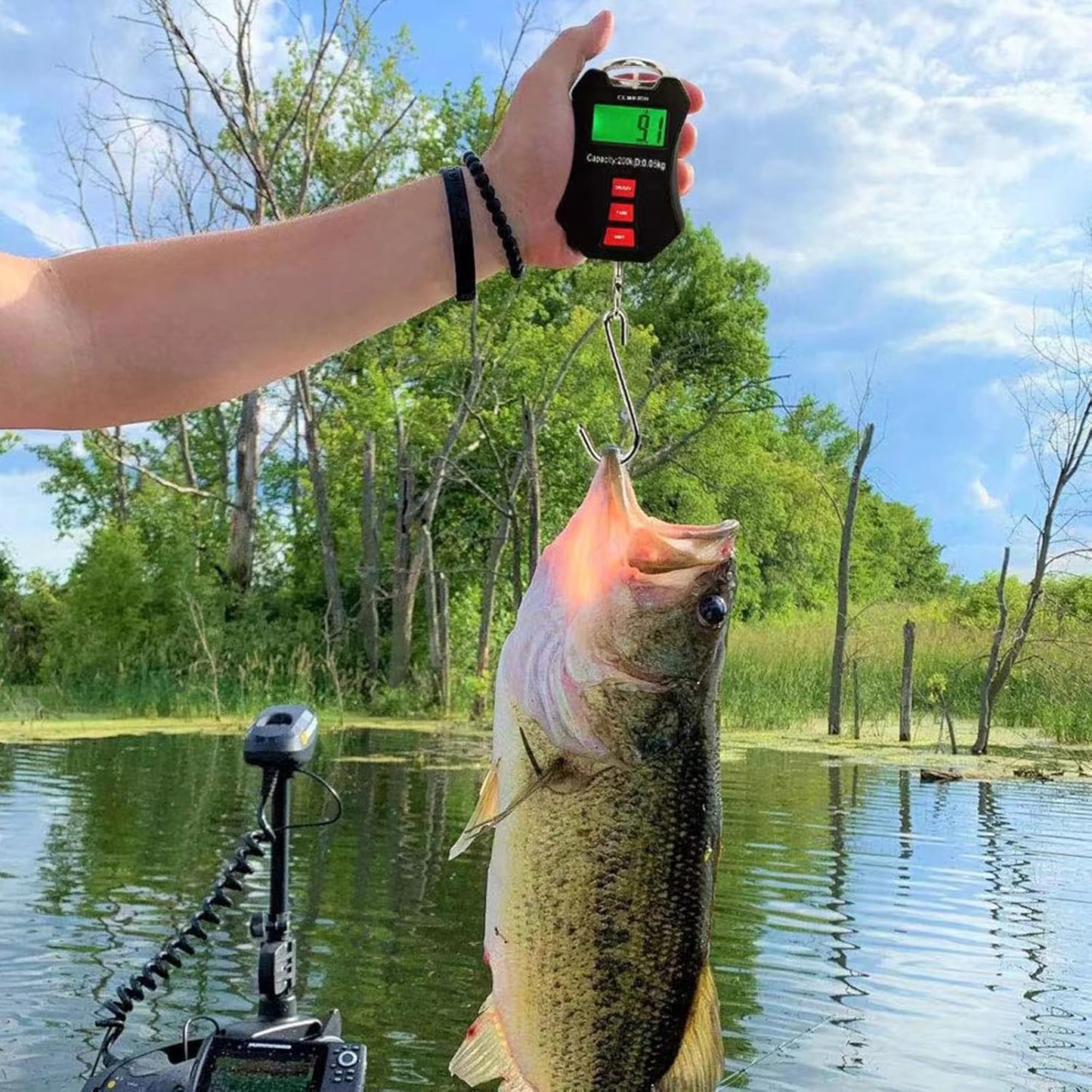 440lb/200kg Digital Crane Scale - Compact LCD Handheld Hanging Scale for Garage, Farm, Hunting, Fishing & More(200kg/Black)