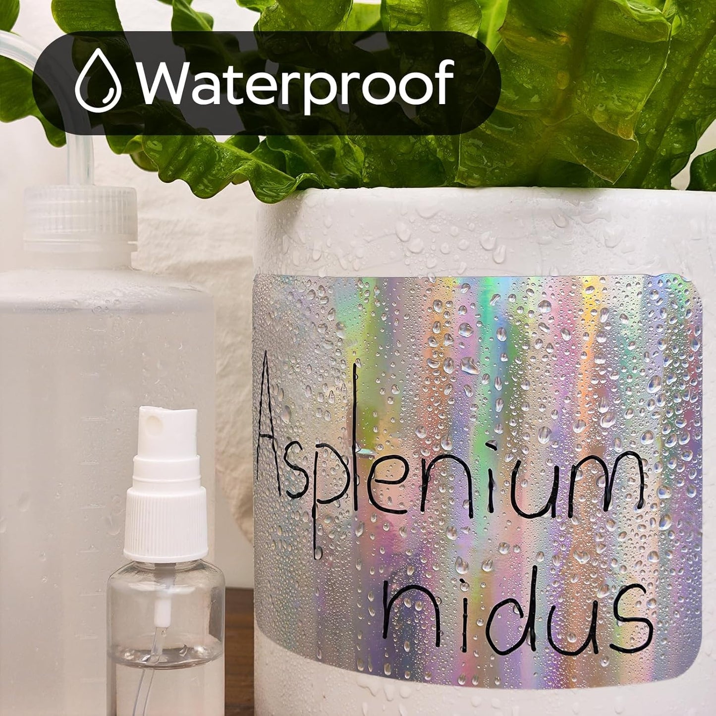 100Pcs Large Laser Labels for Storage Bins,6x4 Inch Removable Labels,Large Labels for Blank Box,Strong Adhesive Tear Resistant No Residue Blank Labels (Laser)