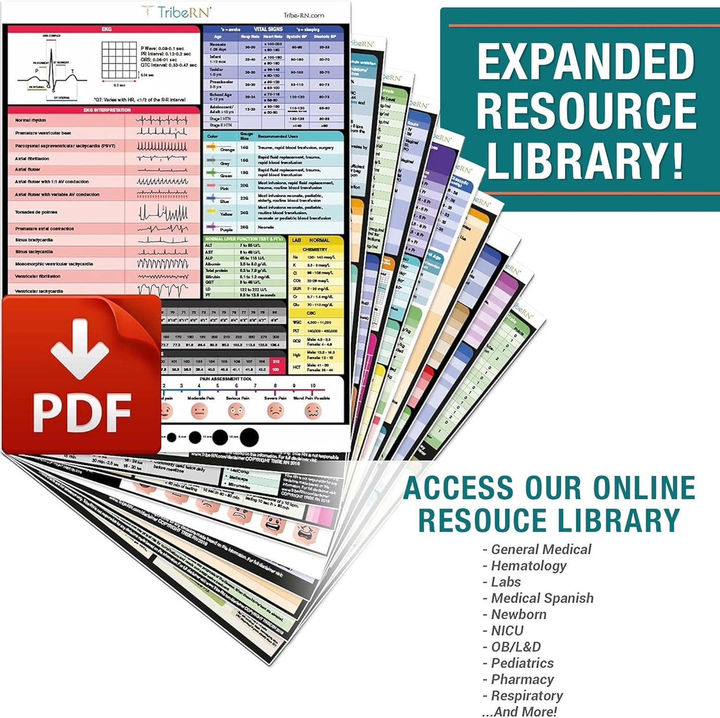 Tribe RN Nursing Clipboard with Storage - Medical Clipboard Nursing Essentials for Nurses and Nursing Students School Supplies with Quick Access Reference Guide (Purple)