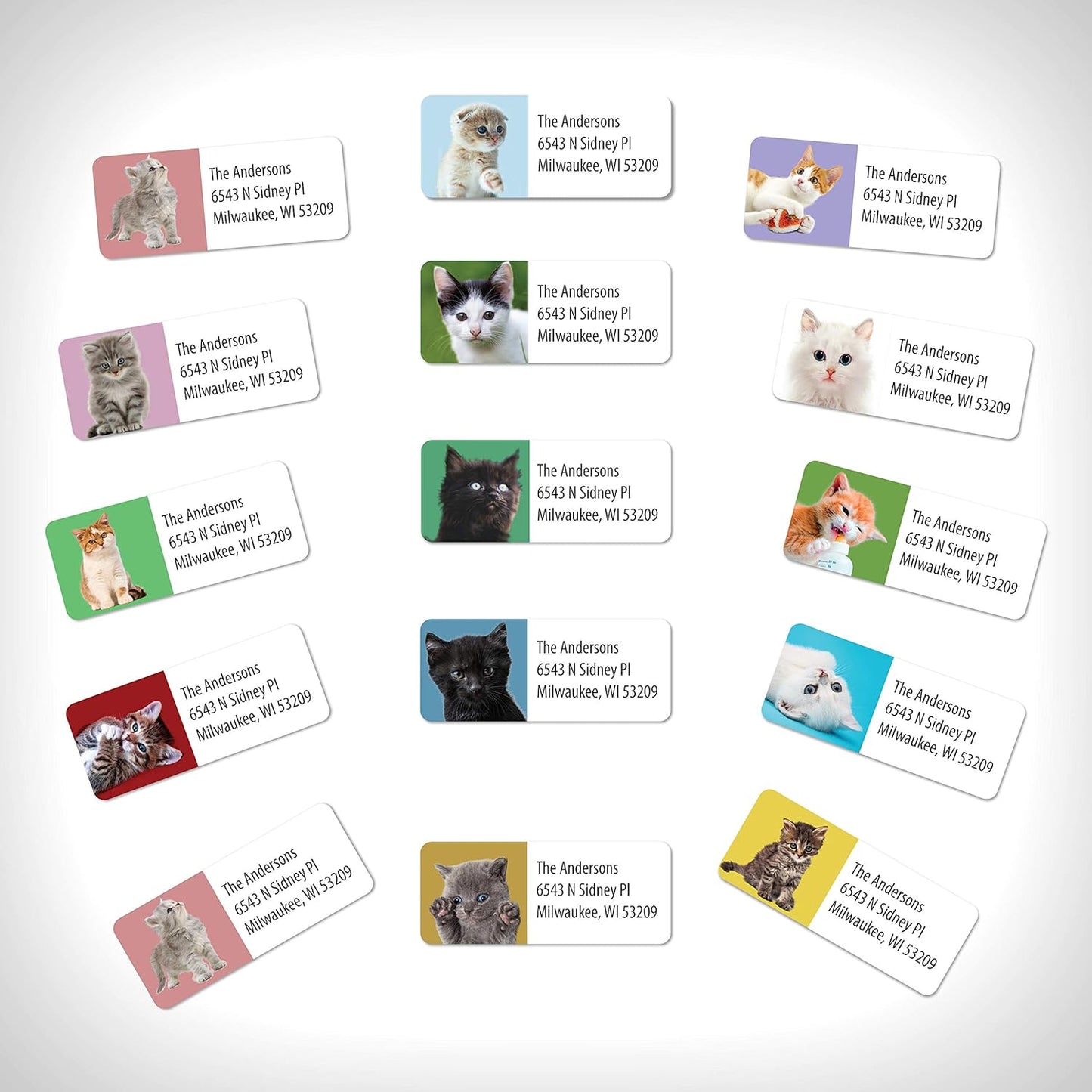 Customized Personalized Address Labels - Made in The USA by Kenco (250 Labels, Kittens) - Lumora Desk