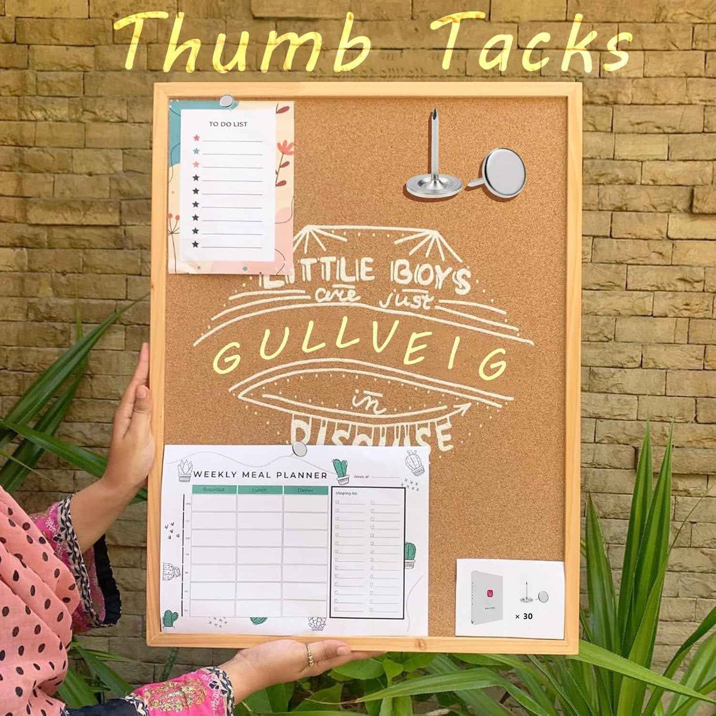 Gullveig Silver Push Pins and Thumb Tacks: Heavy Duty Flat Upholstery, Long Carpet Tacks, and Decorative Nails for Wood and Fabric, 30 Count