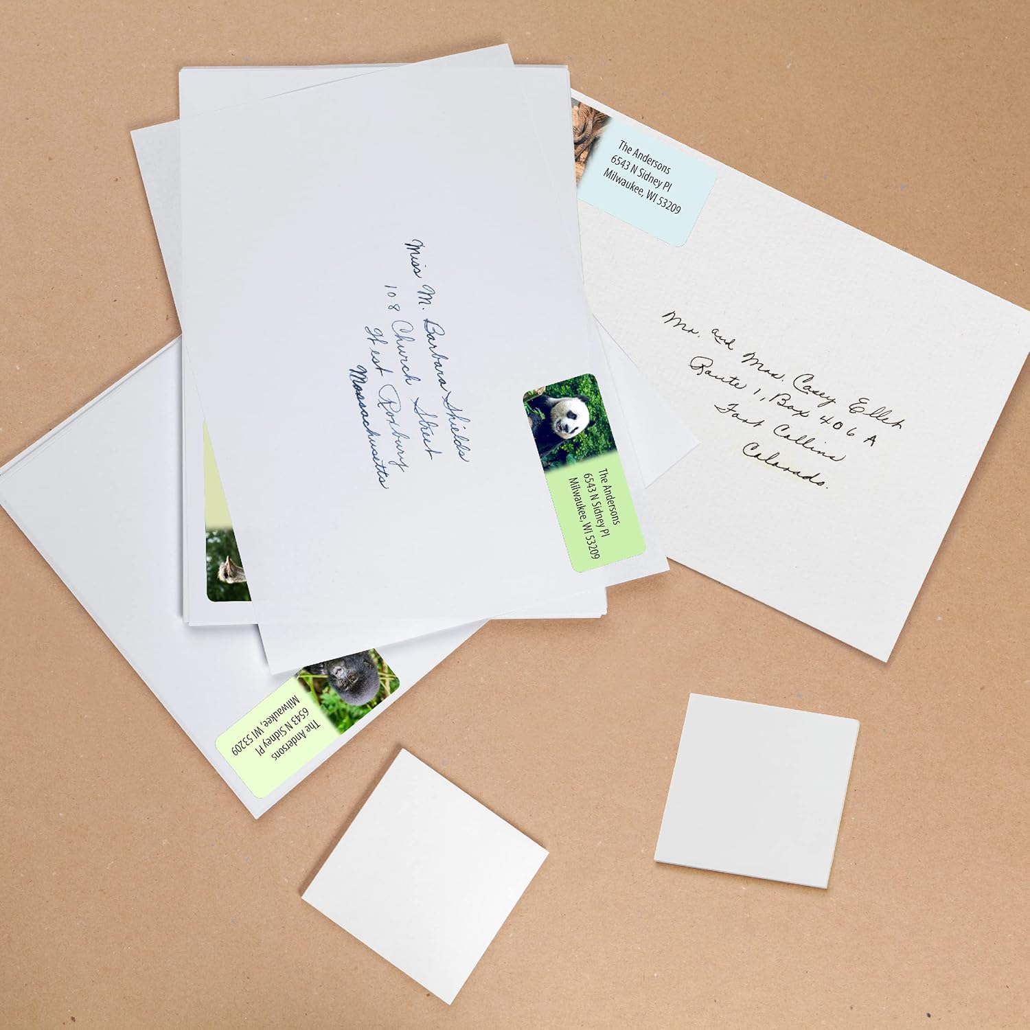 Customized Personalized Address Labels - Made in The USA by Kenco (Wild Animals, 500 Labels) - Lumora Desk