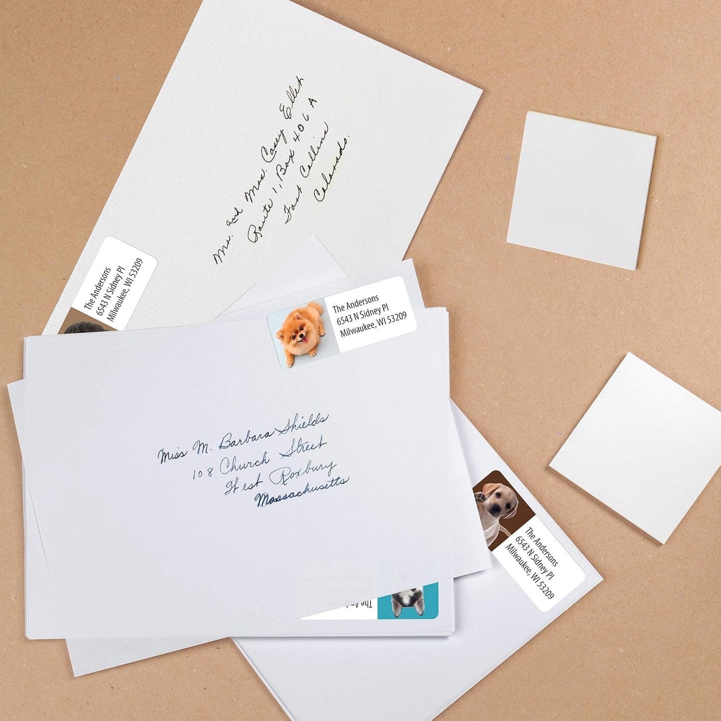 Customized Personalized Address Labels - Made in The USA by Kenco (250 Labels, Puppies) - Lumora Desk