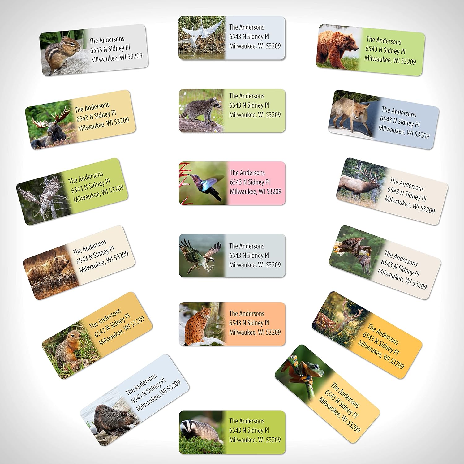 Customized Personalized Address Labels - Made in The USA by Kenco (250 Labels, Forest Wildlife) - Lumora Desk